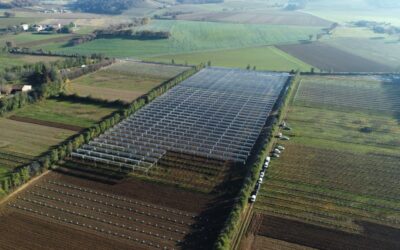 Romania introduces new rules for solar on agricultural land