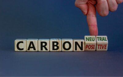 Decarbonizing the World: Carbon-Accounting Do’s and Don’ts