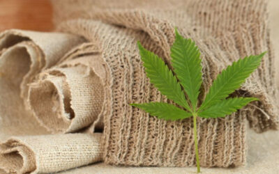 Global hemp clothing market projected to reach US $ 23.02 billion by 2031
