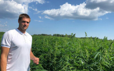 New Estonian hemp cultivar offers super low THC levels, plump seeds