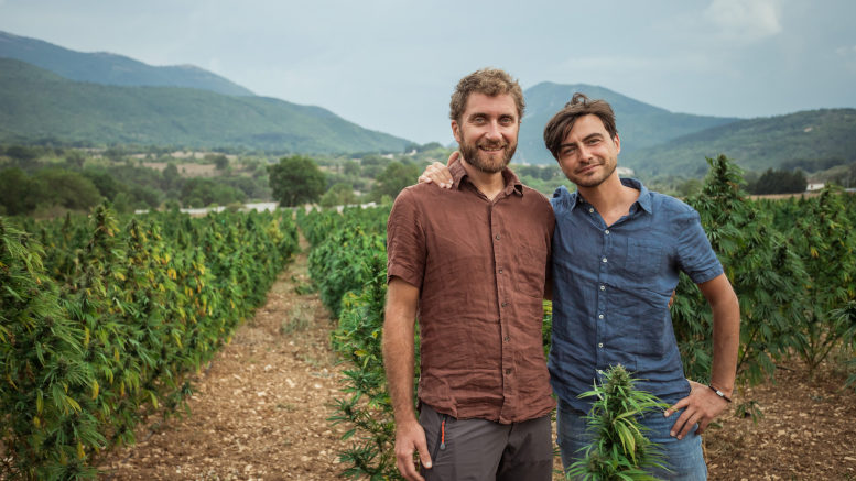 First CBG-rich hemp variety is approved for EU’s plant catalog