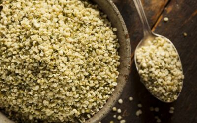 Hemp Seeds Rival Soybeans in Protein Quality