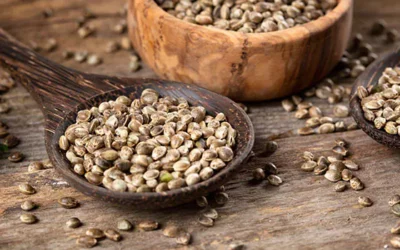 Health Benefits Of Consuming Hemp Seeds – Expert Explains