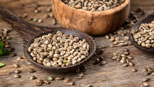 Health Benefits Of Consuming Hemp Seeds – Expert Explains