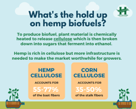 Hemp Biofuels: High Energy, Low Environmental Impact