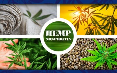 10 Hemp-Friendly Nonprofits to Support in 2023
