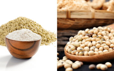 How Do Hemp Protein and Soy Protein Compare?