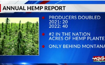 South Dakota hemp leaps in year two of production