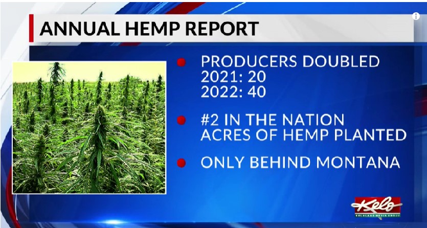 South Dakota hemp leaps in year two of production